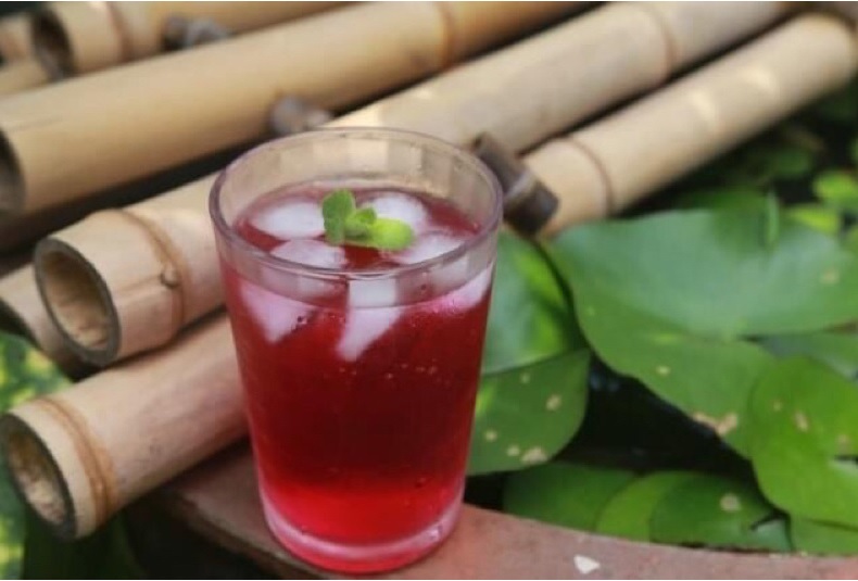 Một ly trà tía tô Shiso Tea Yamakan mỗi ngày giúp bạn thanh nhiệt, giải độc và thanh lọc cơ thể